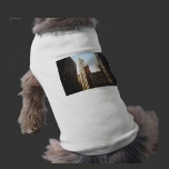 Pet clothing